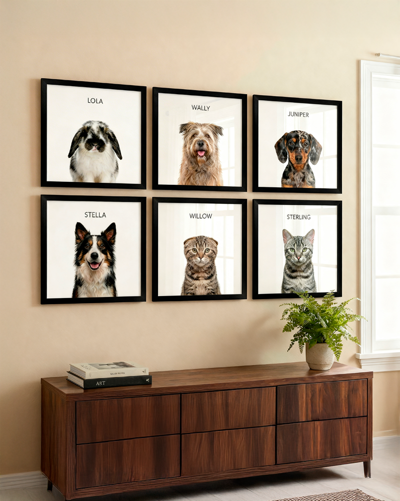 Pet Portrait Gallery Set