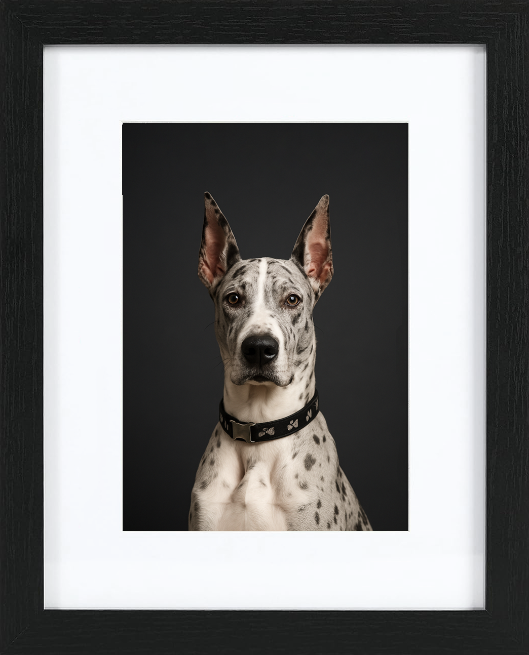 Classic Studio Portrait