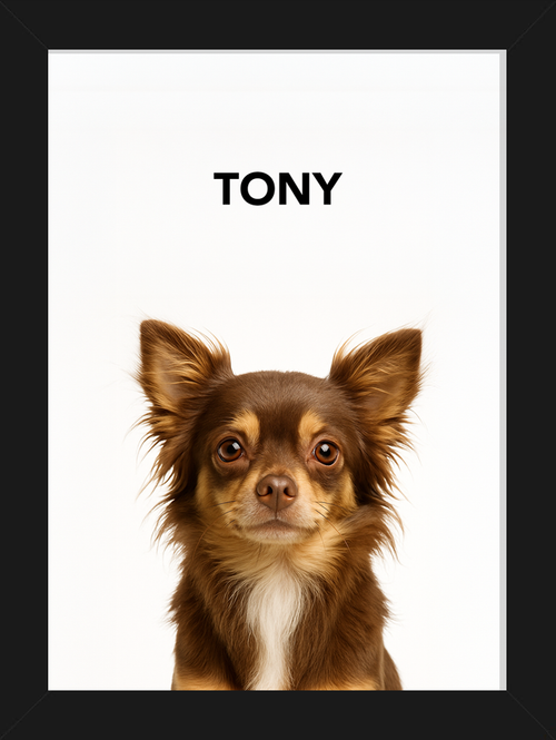 Thumbnail for item 1